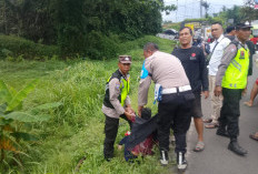 Diduga Mabuk Kecubung, Pemuda 16 Tahun Asal Pemalang Tergelatak di Kebun Purbalingga