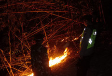 Api Hanguskan 1,5 Hektare Rumpun Bambu di Rawalo, Empat Pemilik Lahan Menunggu Penyebab Pasti