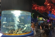 Libur Lebaran, Tarif Masuk Purbasari Pancuran Mas Purbalingga Tidak Naik