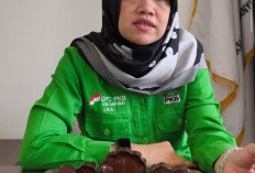 DPC PKB Banyumas Beri Panggung Kader Muda Lewat Batas Usia Ketua DPAC