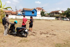 Kelurahan Kober Purwokerto Batal Terima Bantuan Kolam Ikan, Bantarsoka Bangun 20 Kolam Lele Rp600 Juta