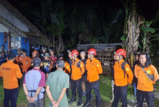 Warga Pekuncen Hilang di Kawasan Hutan, Lansia Pergi Cari Kayu Bakar, SAR Lakukan Pencarian