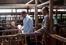 Zulhas Dorong Pengolahan Sampah di Banyumas, Mendha Milk Produksi 500 Liter Susu Per Hari