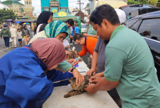 Cegah Penyakit Hewan Menular, Puskeswan Purbalingga Buka Layanan Pemeriksaan dan Vaksinasi di CFD