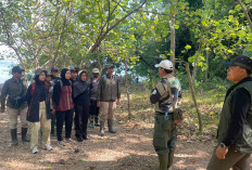 Dua Elang Dilindungi Dilepasliarkan di Nusakambangan