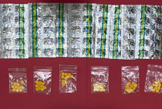 Polisi Bongkar Jaringan Obat Terlarang, Dua Tersangka Diamankan di Purwokerto