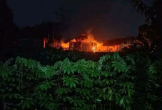 Kandang Ayam di Cilongok Terbakar Dini Hari, Api Diduga Dipicu Korsleting Listrik