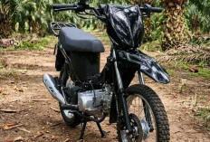 Motor Rp13 Jutaan Ini Bisa Bawa 200 Kg, Viar R2K Cocok untuk Petani