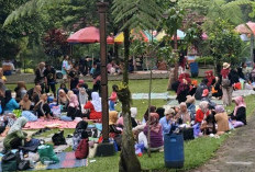 Libur Nataru, Kunjungan Obyek Wisata Berbasis Alam di Banyumas Tetap Diminati Meski Cuaca Tak Menentu