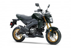 Mini Bike Tapi Berkelas! Kawasaki Z125 PRO SE Punya Suspensi Upside Down