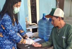307 Kasus Chikungunya Tercatat di Purbalingga Sepanjang Awal 2026, Kecamatan Bojongsari Tertinggi