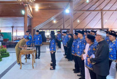 Camat dengan Kinerja Baik dan Bisa Pimpin Wilayahnya, Berpeluang Promosi Jabatan 