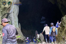 Kotoran Kelelawar Diolah WBP Nusakambangan Menjadi Pupuk Ramah Lingkungan