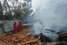 Diduga Akibat Putung Rokok, Tempat Penggergajian Kayu di Dayeuhluhur Cilacap Terbakar