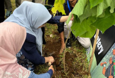 DPKPLH Banjarnegara Siapkan 3.000 Bibit, Lereng Rawan Longsor Jadi Prioritas Penghijauan