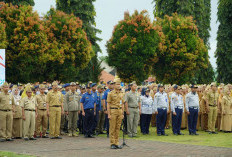 Belanja Pegawai Purbalingga Membengkak Rp 964 Miliar, Tembus 36,24 Persen dari APBD