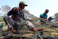 Wisata Pesisir Kutawaru Cilacap Naik, Omset Tembus Rp4,15 Juta per Bulan