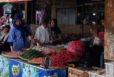 Harga Cabai Rawit Merah di Purbalingga Tembus Rp73 Ribu per Kilogram