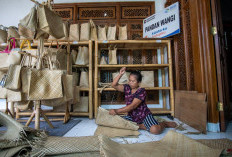 Perkuat Ekonomi Kerakyatan Berbasis Komunitas, BRI Berdayakan Lebih dari 42 Ribu Klaster Usaha