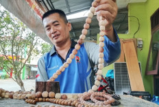 Babinsa Sumpiuh Banyumas Membuat Tasbih Kayu Sendiri, Kopka Teguh Tekuni Hobi di Rumah Dinas