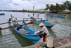 Bawal Putih Menghilang Jelang Imlek, Harga Terancam Melambung