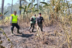 Lahan Seluas 1 Hektare di Kawasan Hutan Perhutani Terbakar, Penyebab Belum Diketahui  