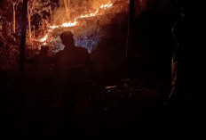 Kebakaran Lahap 2,5 Hektare Lahan Jatilawang Banyumas, Warga Dan Damkar Turun Memadamkan