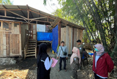 Keluhkan Bau Menyengat, Warga Adukan Peternakan Itik di Sikampuh Cilacap