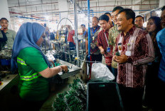 Refleksi Ekonomi Jateng 2025, Pertumbuhan Ekonomi Melesat, Investasi Bergeliat