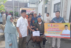 Syiar Idul Adha, Rofik Hananto Distribusikan 105 Hewan Kurban untuk Purbalingga, Banjarnegara dan Kebumen