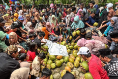 Ngunduh Berkah Dawegan Klapa Ijo, Sadran Gede di Desa Gumelem untuk Bersih Diri dan Doa Bersama Jelang Ramadan