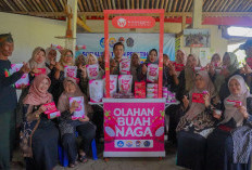 UMP Dorong Buah Naga Pekunden Naik Kelas, Dari Hasil Kebun Jadi Produk Wisata Bernilai Ekonomi
