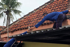 Terjebak di Atap Rumah, Tiga Kucing Dievakuasi Petugas Damkar Majenang