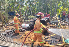 Diduga Dipicu Percikan Api Las, Pabrik Sabut Kelapa di Slarang Cilacap Terbakar