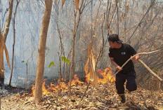 Kebakaran Lahan di Cilacap Capai 39 Kejadian, Luas Terdampak 88 Hektare