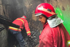 Kurang dari 24 Jam, Dua Kebakaran Terjadi di Purbalingga, Dapur Rumah dan Lahan Terbakar