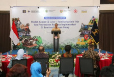 Carica, Purwaceng, dan Kopi Dieng Disiapkan Jadi Paket Wisata