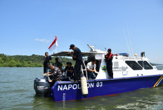 Ribuan Benih Lobster Hasil Penyelundupan Dikembalikan ke Laut Nusakambangan