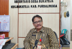 Dana Desa Bukateja Purbalingga Anjlok Drastis 2026, Insentif Guru PAUD hingga TPQ Dipangkas