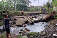 80.016 Meter Irigasi Rusak di Purbalingga, 26,5 Persen Lahan Masih Andalkan Hujan