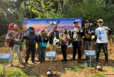 PNM Tanam 500 Bibit Pohon Endemik di Gunung Prau, Bagaimana Menjamin Kelestariannya?