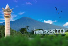 Purwokerto dan Jogja Serupa dalam Rasa, Bukan Sekadar Jarak Fisik