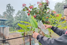 Kemarau Datang, Warga Mulai Krisis Air, BPBD Banyumas Dropping Air Bersih