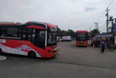 Tahun Depan Trans Banyumas Buka Iklan Branding Bus