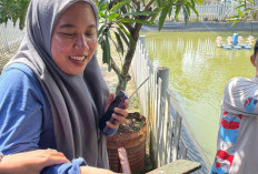 Handphone Warga Jatuh ke Kolam, Minta Bantuan Damkar Cilacap