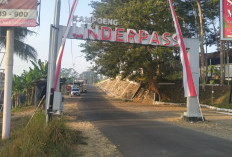 Operator Buka Opsi Trans Banyumas Dibeli Pemkab, Pengelola Siap Lepas hingga 100 Persen
