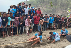 Seru! Ratusan Nelayan Kebumen Unjuk Kekuatan Tarik Tambang