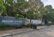Trans Jateng Diusulkan Sampai Kota Lama, Banyumas Dorong Jalur Terhubung Hingga Kroya