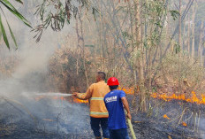 Tiga Lahan Terbakar Di Purwokerto Dalam Sehari, Angin Kencang Picu Api Cepat Merembet