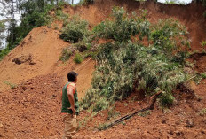Tebing 50 Meter Ambrol di Cibeunying Cilacap, Jalan Kabupaten Tertimbun 90 Meter